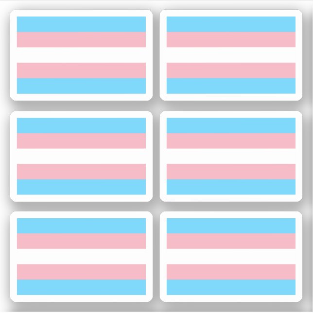 Transgender Pride flag Sticker (Front)