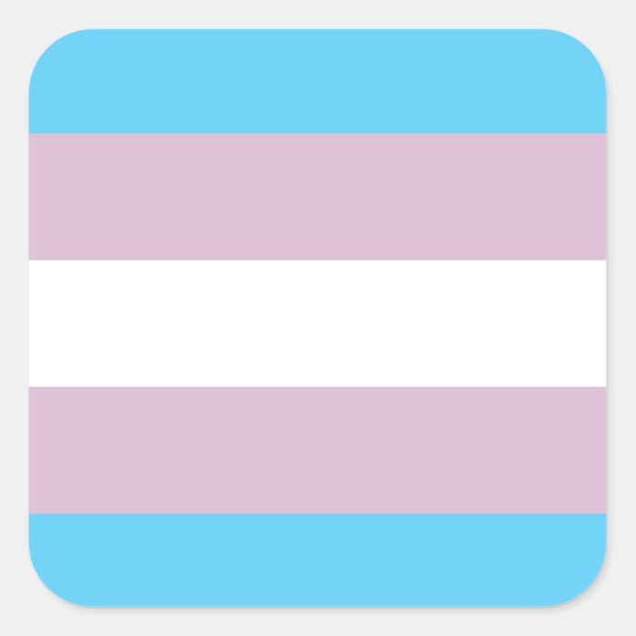 Transgender Pride Flag Stickers Square Zazzle