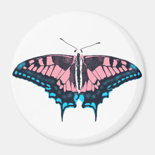 Transgender Pride Flag Swallowtail Butterfly Magnet