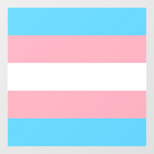 Transgender Pride Flag  Window Cling