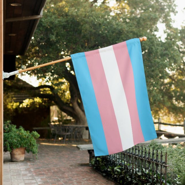 Transgender Pride House Flag (In SItu)