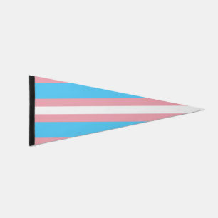 Transgender Pride Pennant Flag