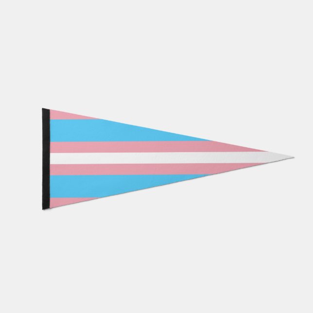 Transgender Pride Pennant Flag (Front)