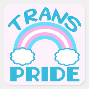 Transgender Pride Square Sticker