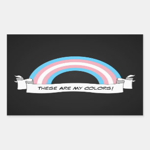Transgender rainbow pride Stickers