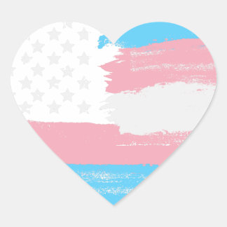 Transgender USA Flag | Sticker