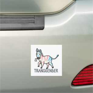 Transgender Zebra Car Magnet