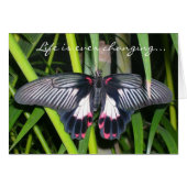 Transition, Life Change (Front Horizontal)