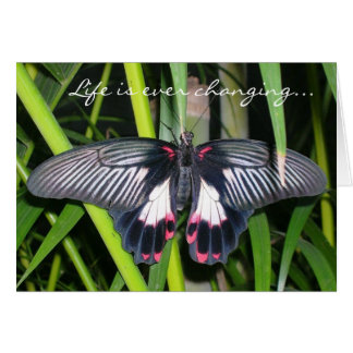 Transition, Life Change Cards