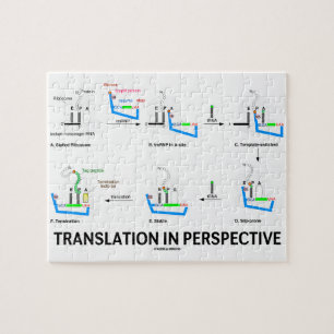 Translation In Perspective (tRNA Biology Protein) Jigsaw Puzzle