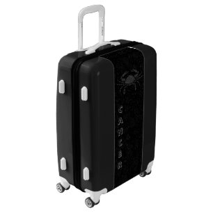 Translucent Cancer Luggage