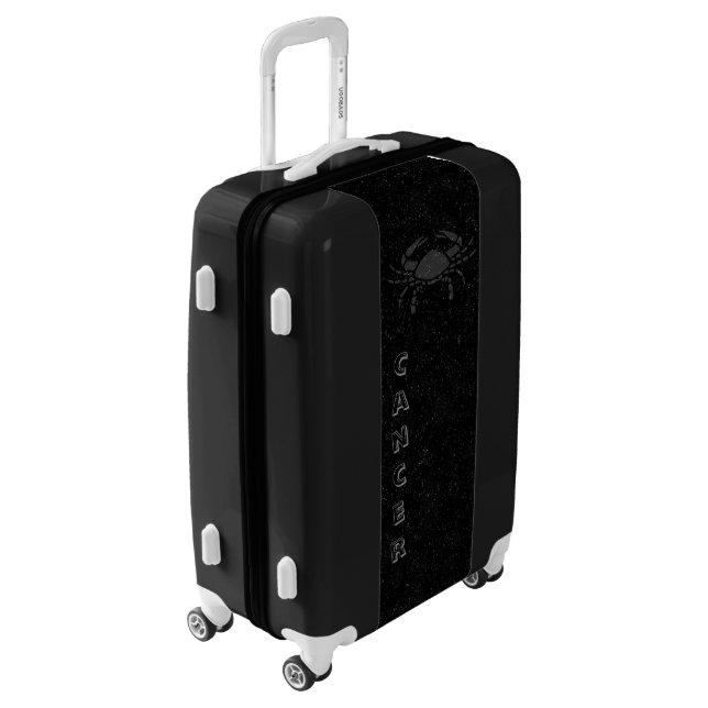 Translucent Cancer Luggage (Rotated Left)