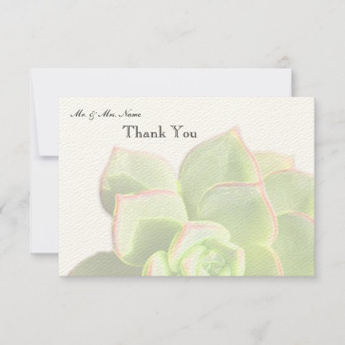 Translucent Green Succulent Thank You