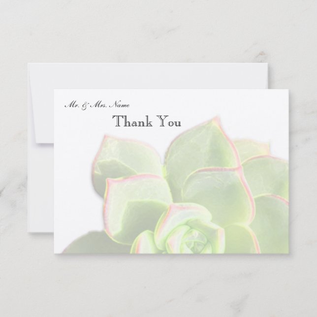 Translucent Green Succulent Thank You Card (Front)