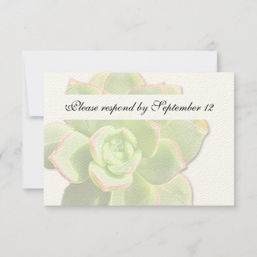 Translucent Green Succulent Vintage rsvp