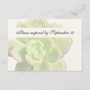 Translucent Green Succulent Vintage rsvp Card