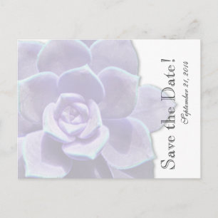 Translucent Lilac Succulent save the date Announcement Postcard