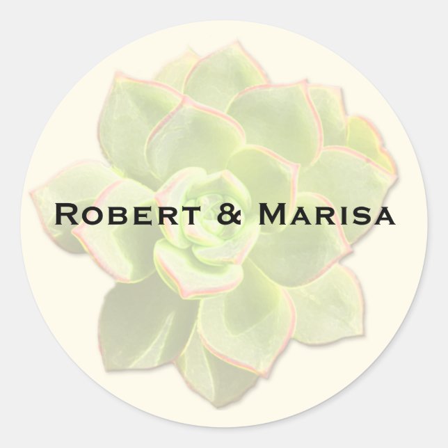Translucent Succulent Gift Favor Stickers (Front)
