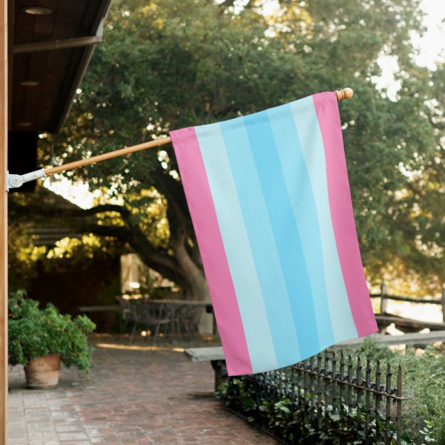Transmasculine Pride Flag (In SItu)