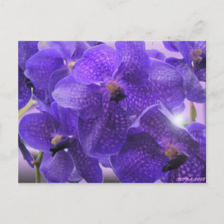 TRANSPARENCY POSTCARD