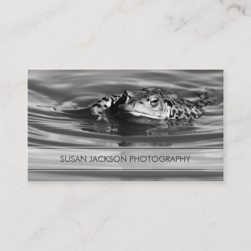 Transparent Band - Photographers Business Card