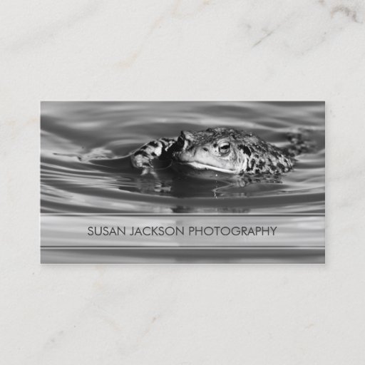 Customizable Transparent Band - Photographers Business Card