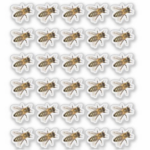 Transparent Crawling Honeybees Realistic Sticker