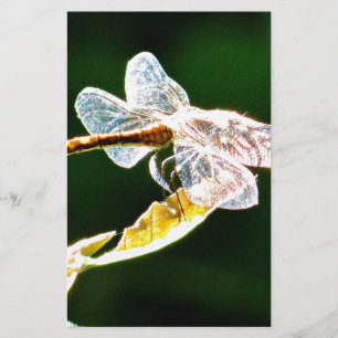 Transparent dragonfly stationery