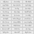 Transparent modern script guest names sticker | Zazzle