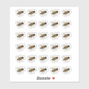 Transparent or White Honeybee Stickers