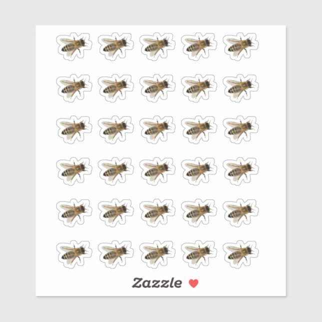 Transparent or White Honeybee Stickers  (Sheet)