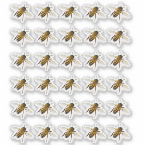 Transparent or White Realistic Honeybee in Flight  Sticker