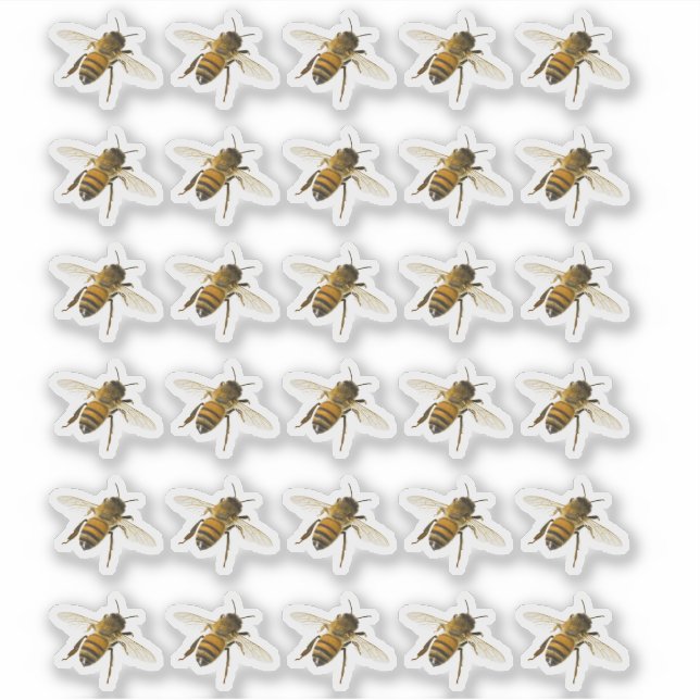Transparent or White Realistic Honeybee in Flight  Sticker (Front)
