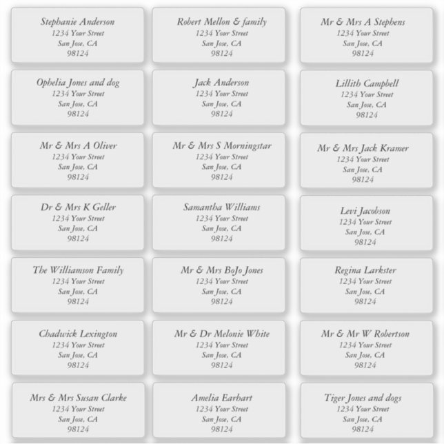 Transparent Plain Recipient Address Labels (Front)