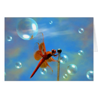Transparent Red Dragonfly Cards