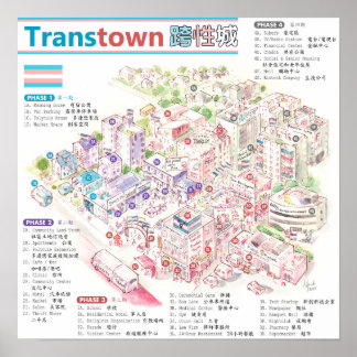 Transtown Poster