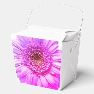 Transvaal daisy graphy Color Flower Favor Boxes