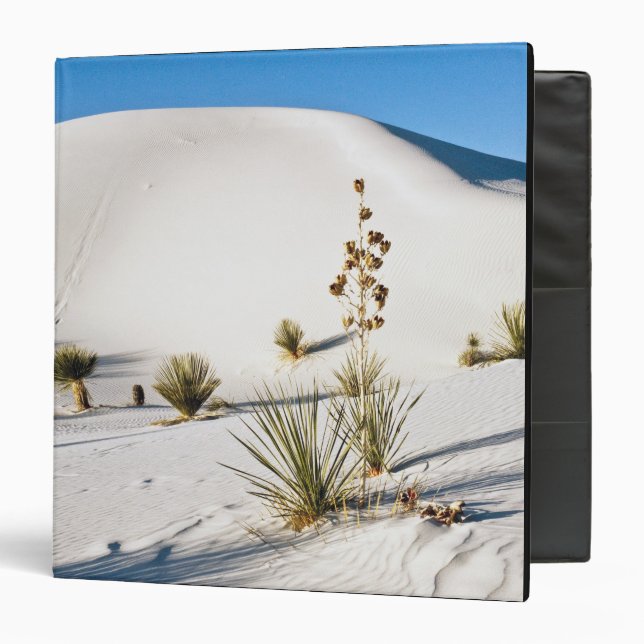 Transverse Dunes and Soaptree Yucca Binder (Front/Inside)