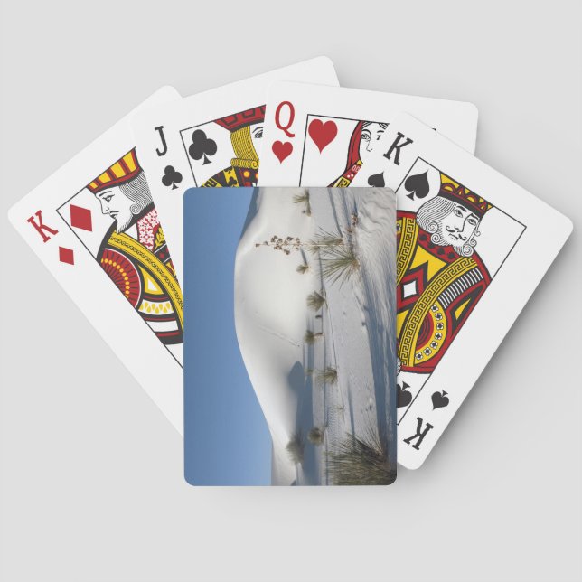 Transverse Dunes and Soaptree Yucca Poker Cards (Back)