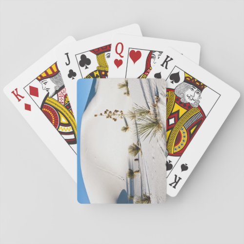 Transverse Dunes and Soaptree Yucca Poker Cards