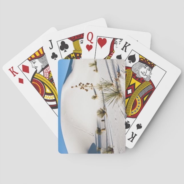 Transverse Dunes and Soaptree Yucca Poker Cards (Back)