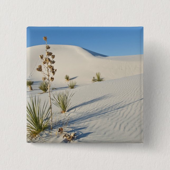 Transverse Dunes, Yucca, shadows Pinback Button (Front)