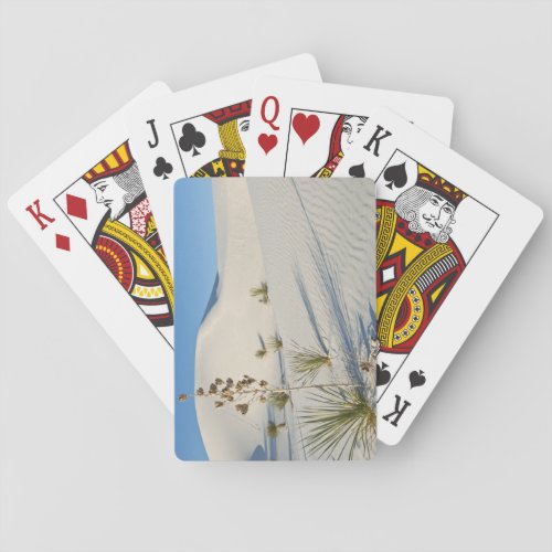 Transverse Dunes Yucca shadows Poker Cards