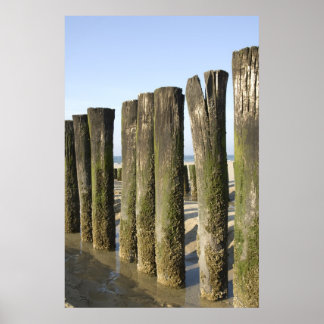 Trapped at the beach poster