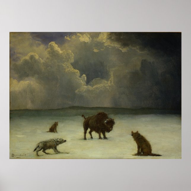Trapped by Albert Bierstadt Poster (Front)