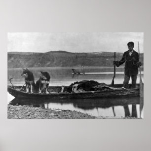 Trapper in Canoe with Hides and Dogs Alaska Poster