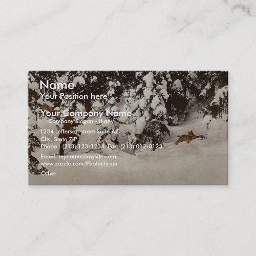 Trapping lynx, Russia classic Photochrom Business Card Templates