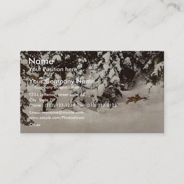 Trapping lynx, Russia classic Photochrom Business Card (Front)