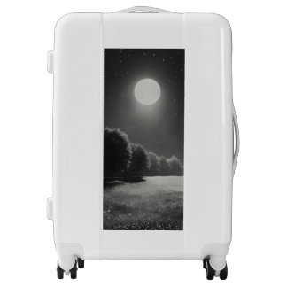 Travel Accessories Luggage