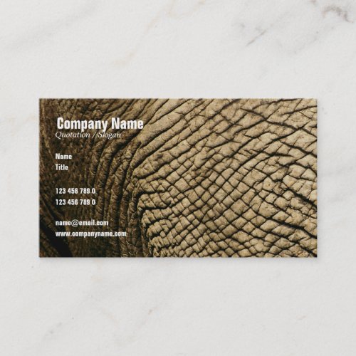 Travel agents, Safari tours, taxidermists, vets Business Card Template